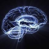 Neuropedia