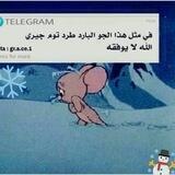 نكت_يمنيه😂😁