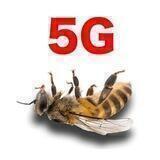 Stop 5G Romania 🇷🇴