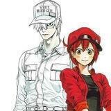 Cells at Work! : Hataraku Saibou!
