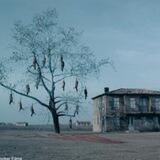 The Weeping Meadow