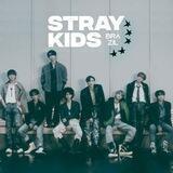 Stray Kids Brazil