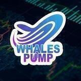 Big Pump🚀 Whales Signals