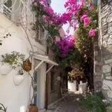 🍃🌸 Красота Мусульманки🌸🍃