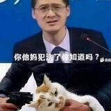 张三botの烂梗研究所