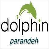 ✈️DOLPHIN/دلفين پرنده✈️