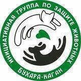 ЗОООТЧЁТЫ БУХАРА-КАГАН