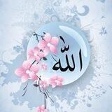 🌸Cənnətə doğru 🌸