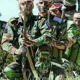 البرع اليماني والحالات الجهادية