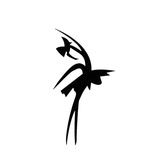 ЖЮ Хореографический Колледж Ледях