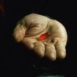 The Red Pill - uncensored
