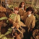 Herbology