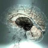 modern cogitation (Archive)