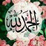 الحمد لله على نعمة الإسلام