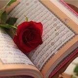نور علـّۓ نور 🕌 ألله الاقرب💨