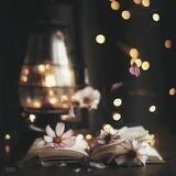 සිහින චායා 💕