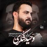 کربلایی وحید شکری