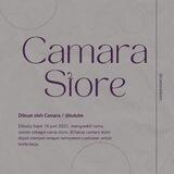 Format CAMARA STORE
