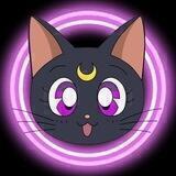 🌙 Luna Cat || Channel