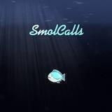 SmolCalls - No Paid Calls.