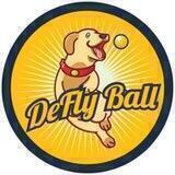 DEFLY Announcement