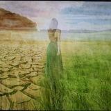 AWAKE - Catharina Roland 🌺