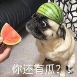 吃瓜总站
