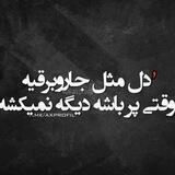 گُـمشده