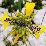 Positive Welt