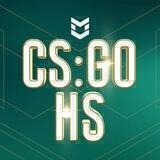 CS:GO HS