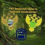 ЗейскоеЛесничество🌳🌲