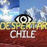 Despertar Chile, Chile Vibra Alto, Resiste!!!