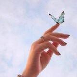 عابرة سبيل 💙