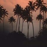 🌴