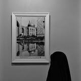 ضحى مشهد