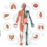 عالم الطب.
