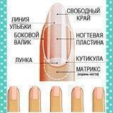 Дизайн ногтей | Маникюр
