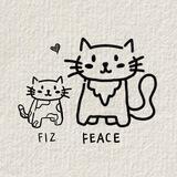 Thanks Fiz 🤍