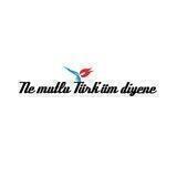 The Turkish Times