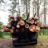 Помощь в заготовке бревен для солдат