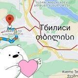 Tbilisi Mishkin'Move