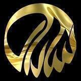 موسسه سارای