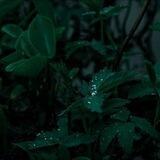 Deep&dark/irenapax