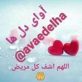 آوای دل ها