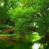 ترفندهای روانشناسی❤