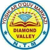 "Diamond Valley" 💎
