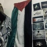 فلسطين عاجل
