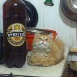Уже не думер