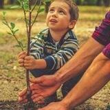Богдорчилик ва Кочатчлик 🌳🍎