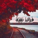 فَرَائِدُ نَقِيَّةٌ 🌧 🌱
